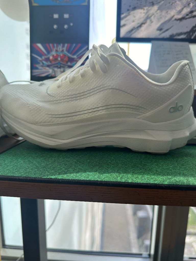 Alo Runner Sneakers (Barely Worn)